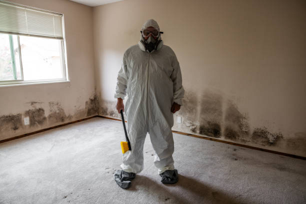 Best Mold Cleaning Services  in Jasper, FL